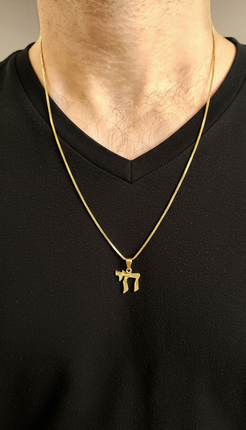 Gold necklace with a pendant on a black shirt