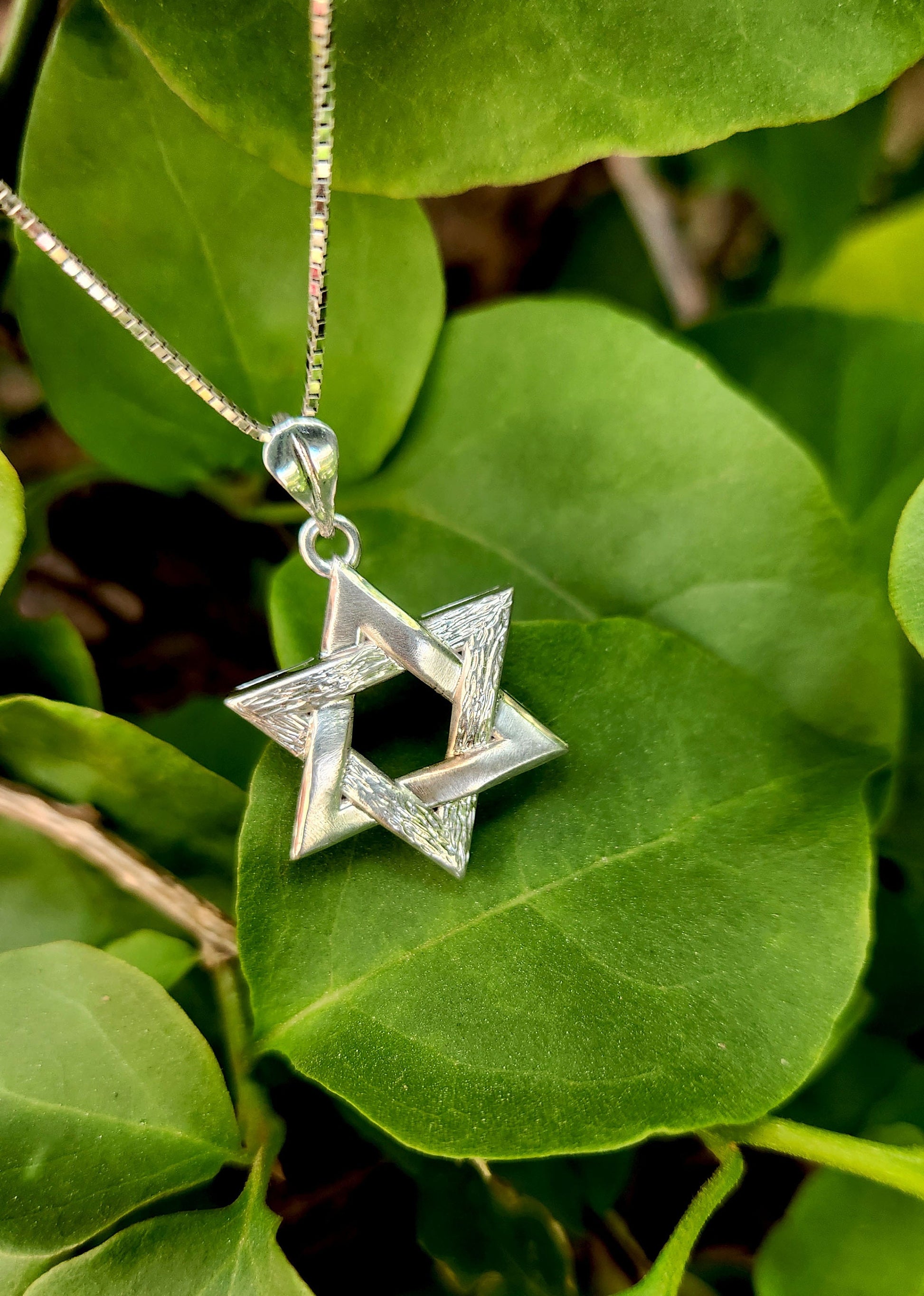 a silver star of david necklace on a leafy branch
